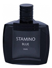 Prime Collection Stamino Blue EDT 100ml for Men